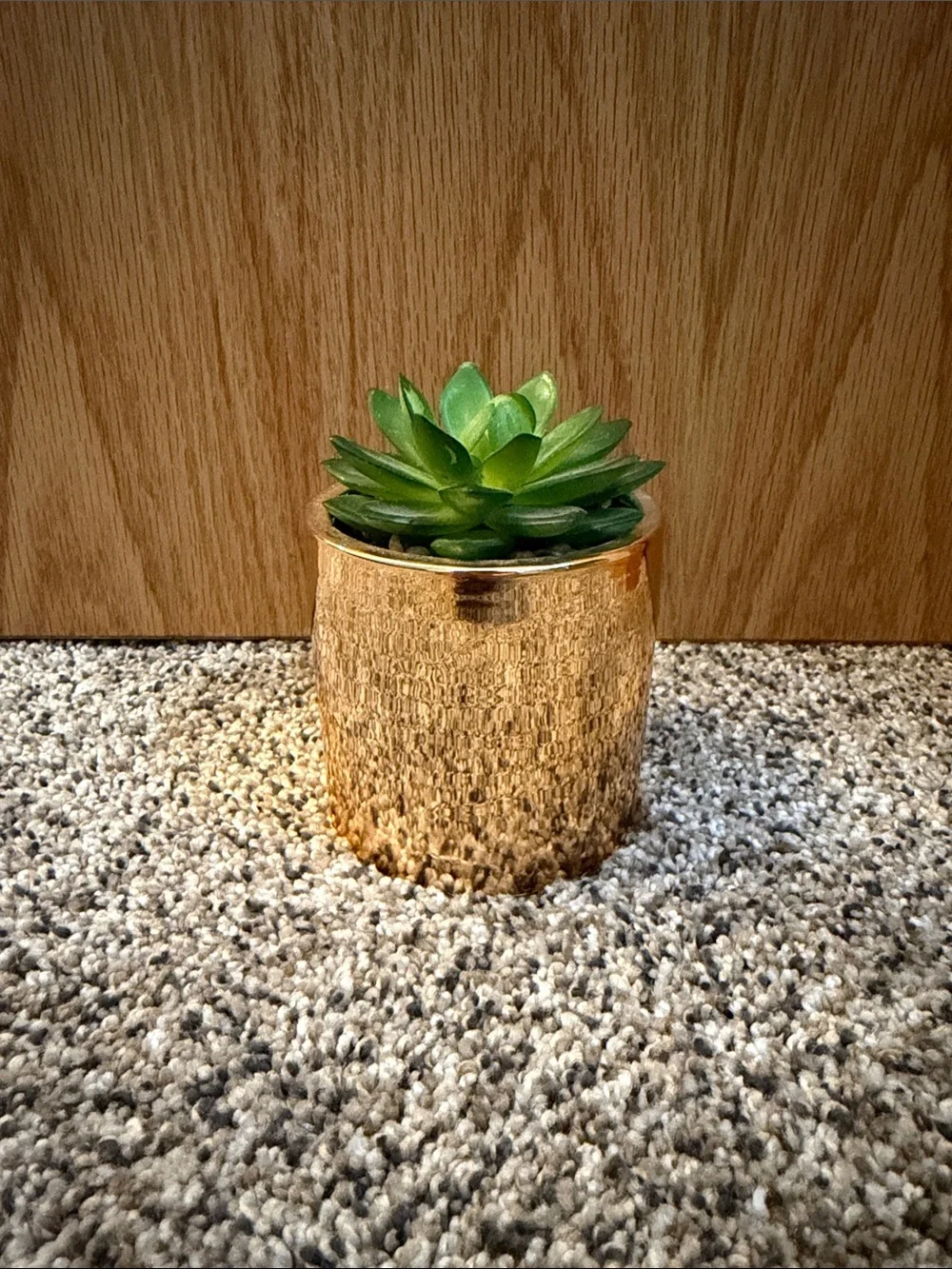 Target Gold Planter with Green Faux Succulent